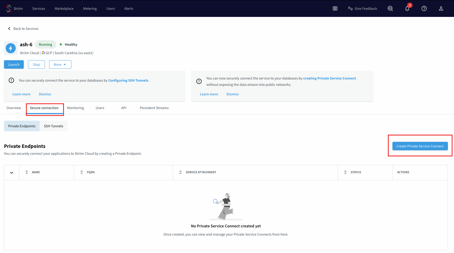 gcp-psc-google-api-1.png