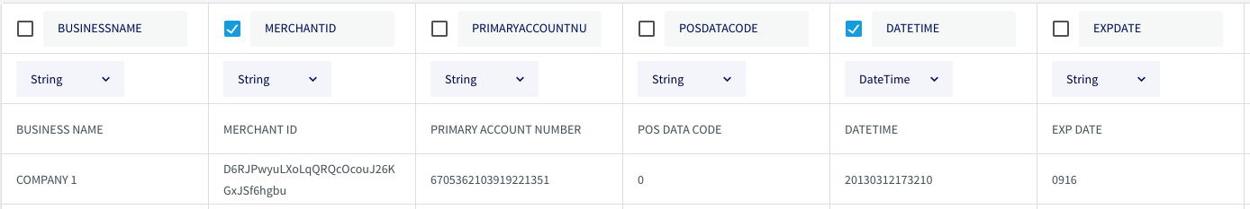 A table displaying the Business Name, Merchant ID, Primary Account Number, POS Data Code, Date and Time, and Expiration date. Each of these columns has a selector for data type and all columns except for Date and Time are set to String. Date and Time is set to DateTime.